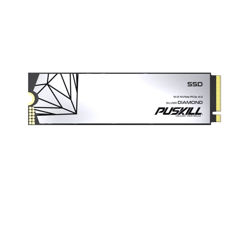High Performance NVMe SSD vs SATA SSD: What’s the Difference? high performance NVMe SSD