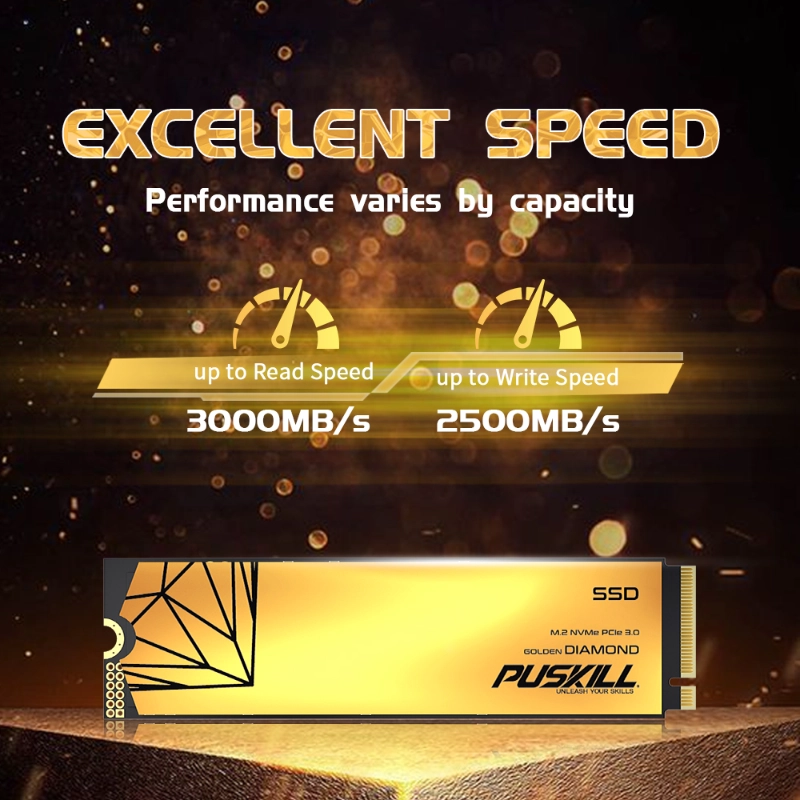 NVMe SSD for video editing