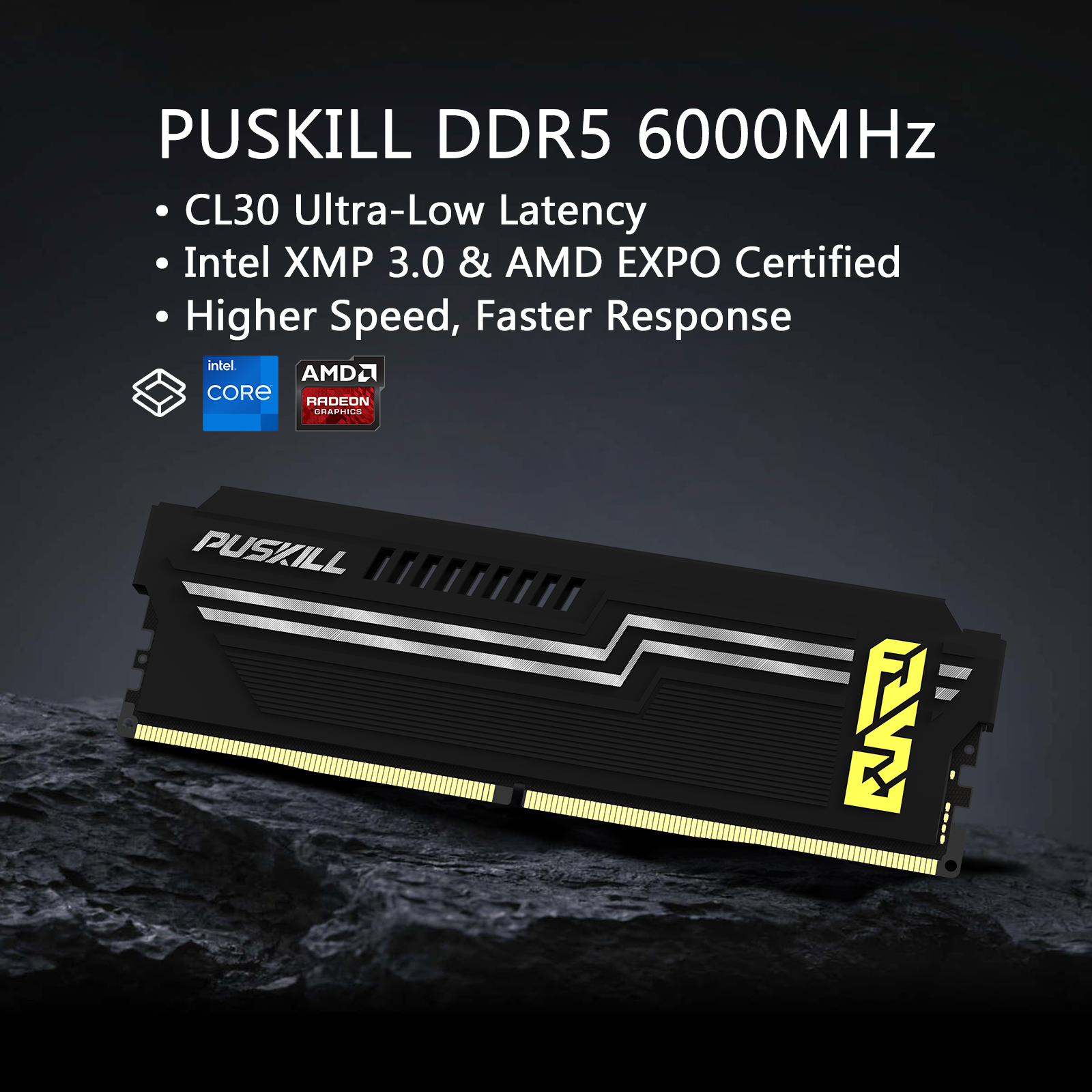 PUSKILL Stylish Heatsink DDR5 PC Memory Wide Motherboard Compatibility for Custom Gaming Rig & Home High-End Computer Assembly puskill ddr5 ecc desktop ram 8gb/16gb/32gb 4800mhz/5600mhz/6000mhz in stock for computer games ps5 support customised
