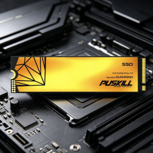 PUSKILL PCIe 3.0/4.0 M.2 2280 NVMe Internal SSD High Endurance Flash Storage for Gaming PC Content Creator Notebook Upgrade m.2 sata ssd